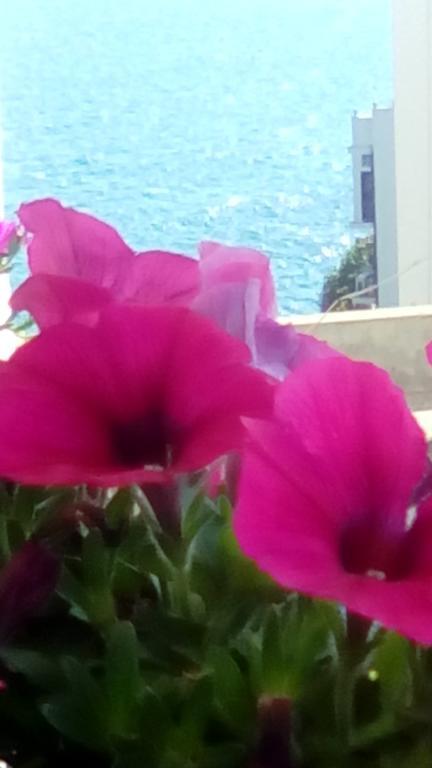 Tra Le Mura Polignano a Mare Kültér fotó