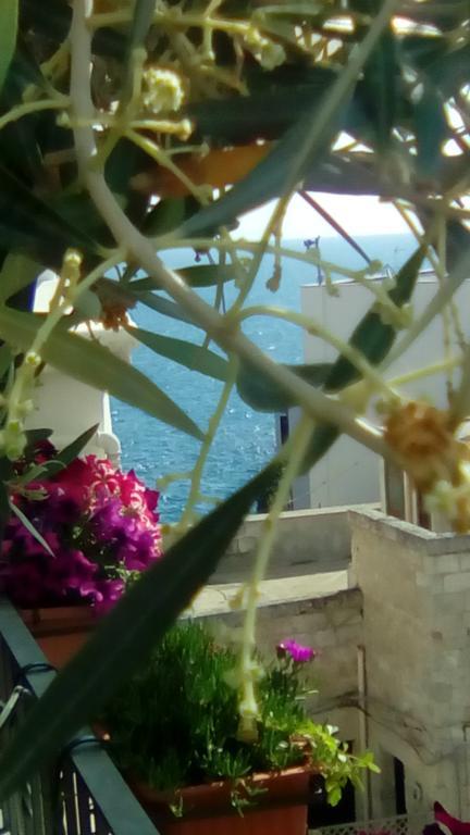 Tra Le Mura Polignano a Mare Kültér fotó