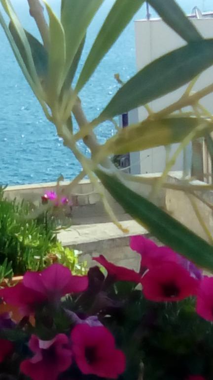 Tra Le Mura Polignano a Mare Kültér fotó
