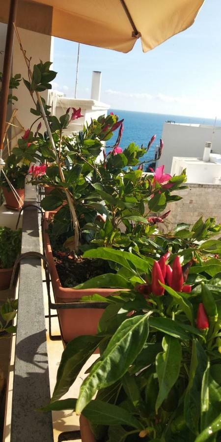 Tra Le Mura Polignano a Mare Kültér fotó